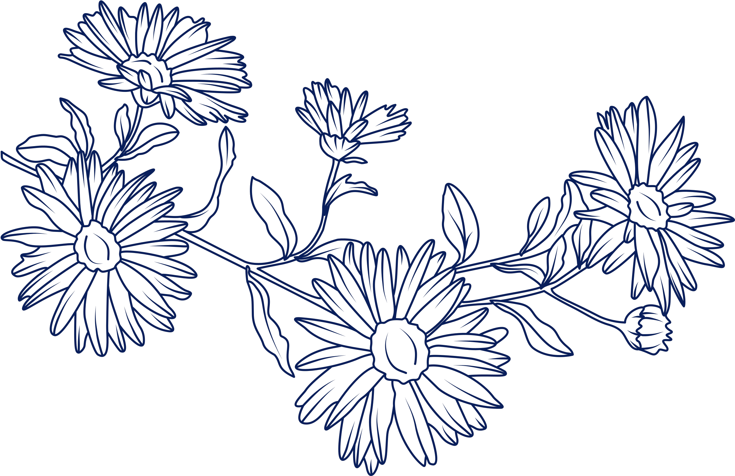 Flower 1