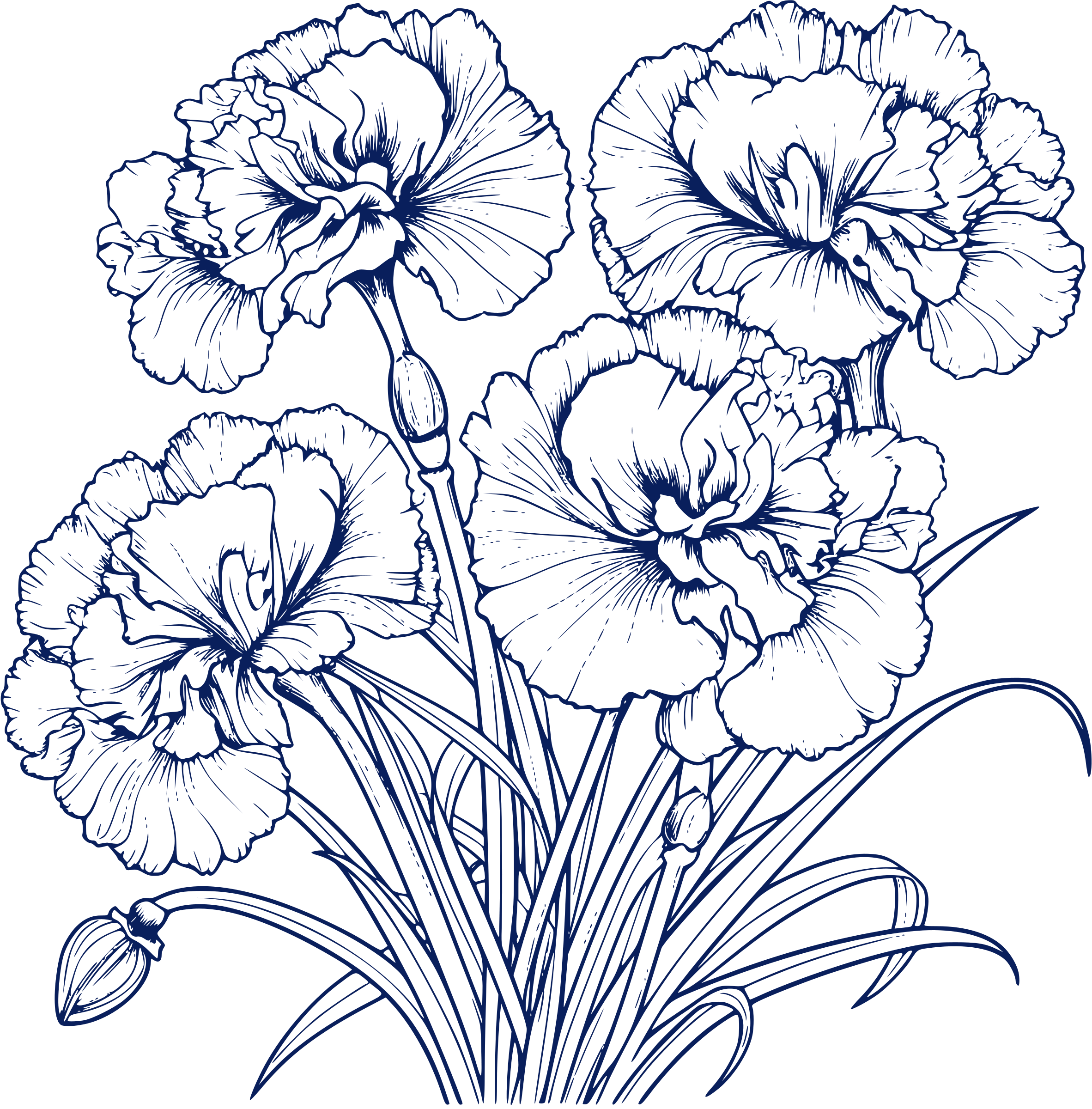 Flower 2